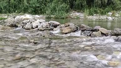 小河流水原生态小溪视频的预览图